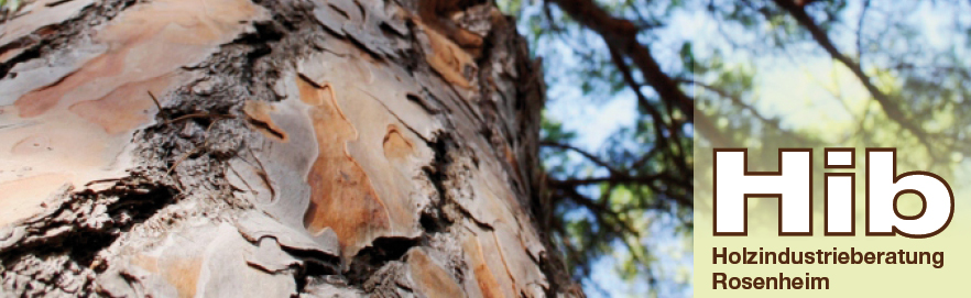 header_image_de